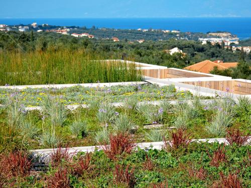 Roof areas vegetated with various kinds of plants